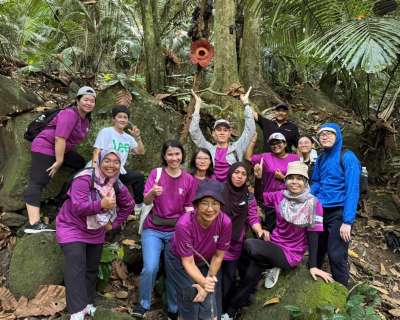 Jungle Trekking